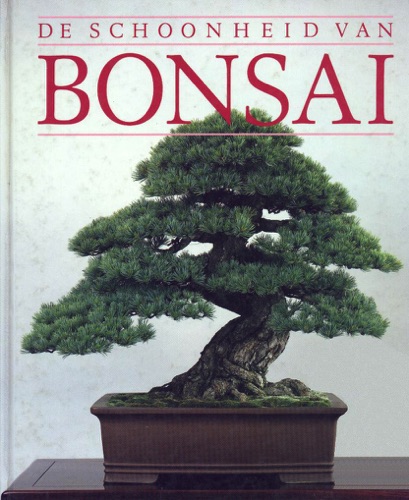 De schoonheid van Bonsai.jpg